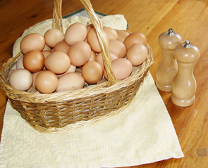 Fresh Farm Eggs